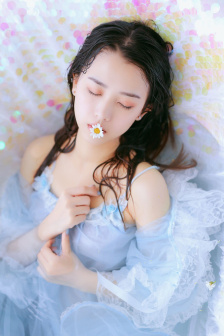 电视剧新安家族